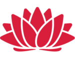 supported-by-nsw-government-reversed